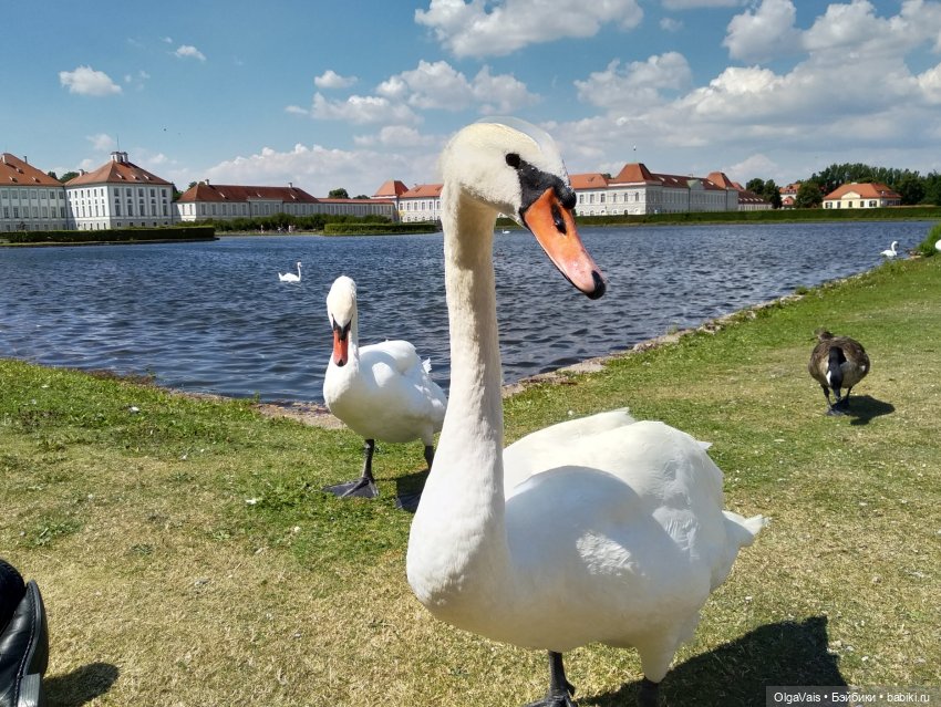 Добро пожаловать в Мюнхен! Часть 5. По следам Людвига II (фото 6)