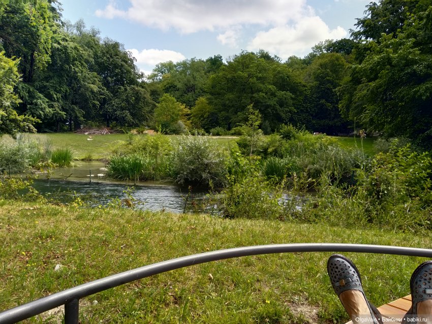 Зоопарк Мюнхена — Туризм и путешествия: фотоотчеты из поездок