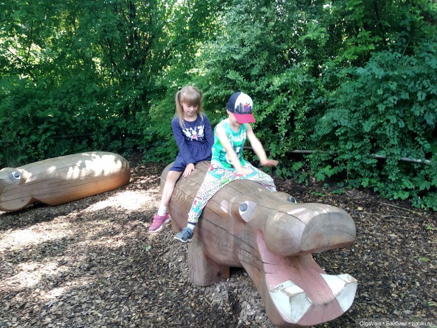 Зоопарк Мюнхена — Туризм и путешествия: фотоотчеты из поездок