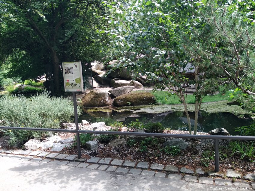 Зоопарк Мюнхена — Туризм и путешествия: фотоотчеты из поездок