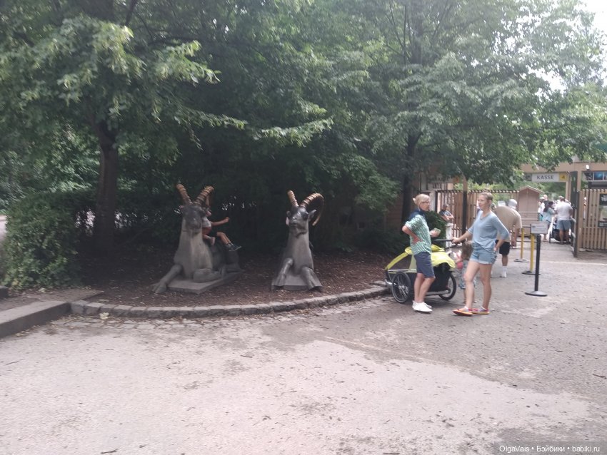 Зоопарк Мюнхена — Туризм и путешествия: фотоотчеты из поездок (фото 3)