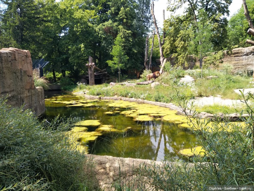 Зоопарк Мюнхена — Туризм и путешествия: фотоотчеты из поездок