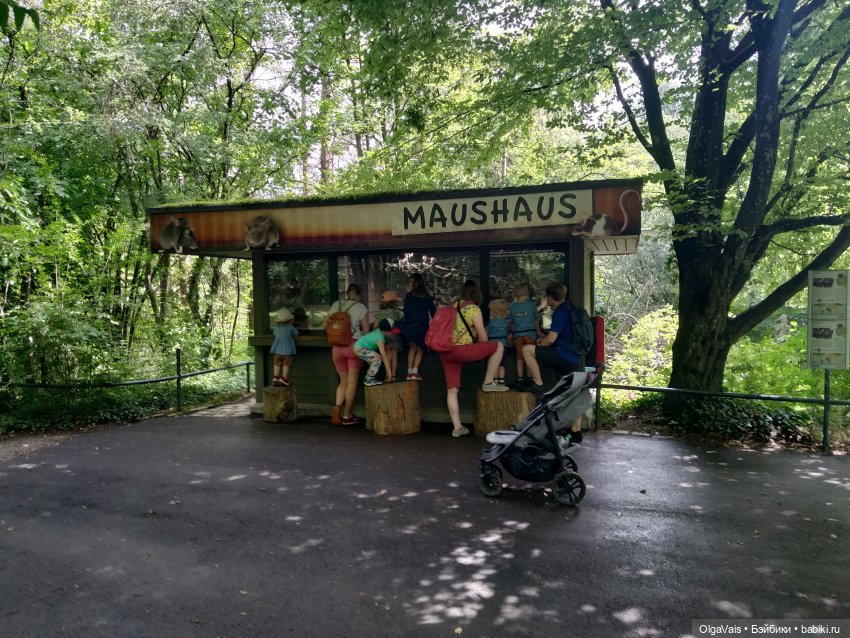 Зоопарк Мюнхена — Туризм и путешествия: фотоотчеты из поездок (фото 9)