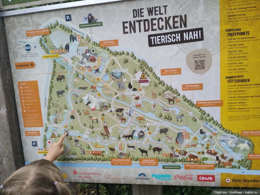 Зоопарк Мюнхена — Туризм и путешествия: фотоотчеты из поездок (фото 4)