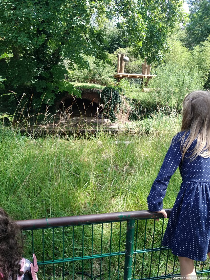 Зоопарк Мюнхена — Туризм и путешествия: фотоотчеты из поездок