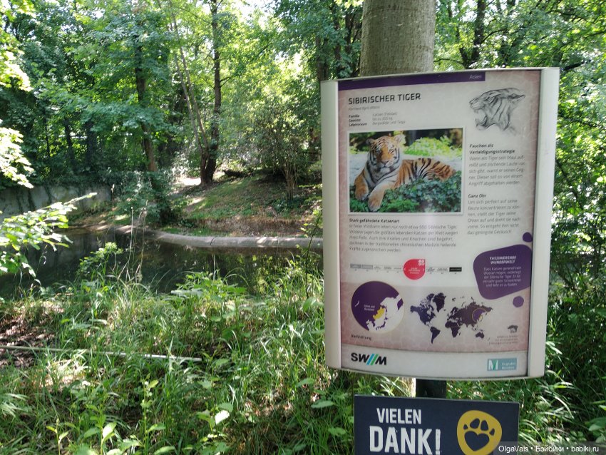 Зоопарк Мюнхена — Туризм и путешествия: фотоотчеты из поездок