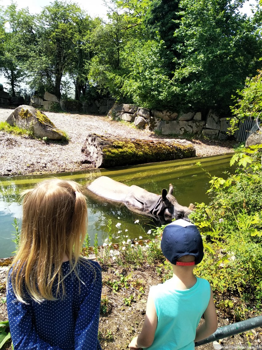 Зоопарк Мюнхена — Туризм и путешествия: фотоотчеты из поездок
