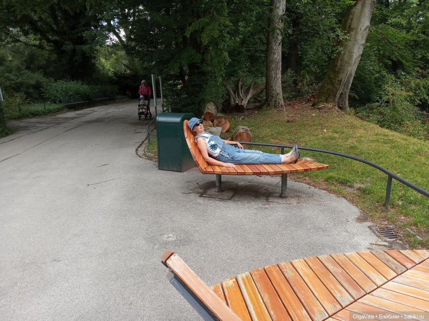 Зоопарк Мюнхена — Туризм и путешествия: фотоотчеты из поездок