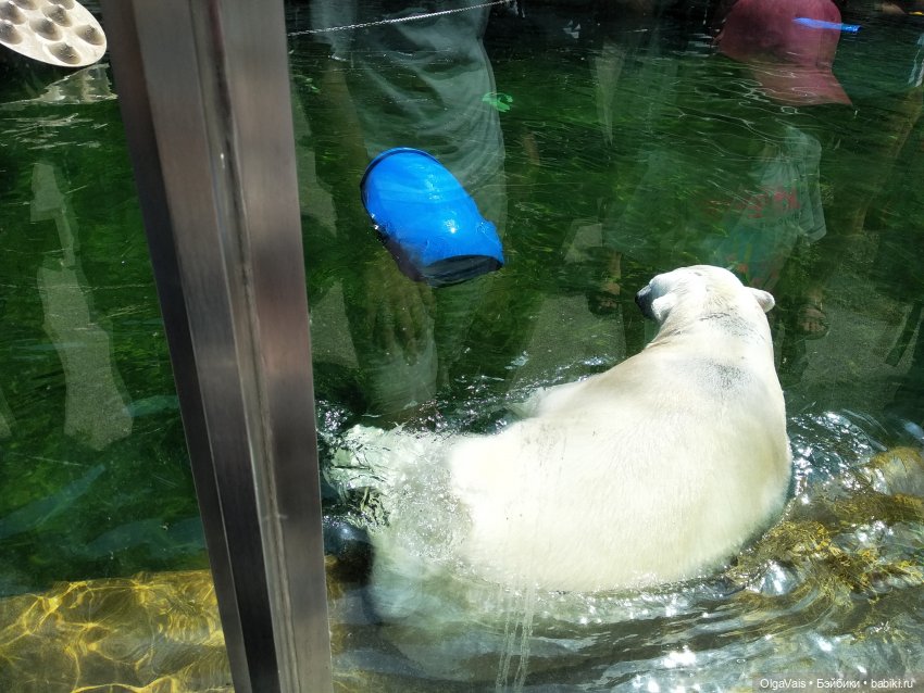 Зоопарк Мюнхена, ч.2 — Туризм и путешествия: фотоотчеты из поездок