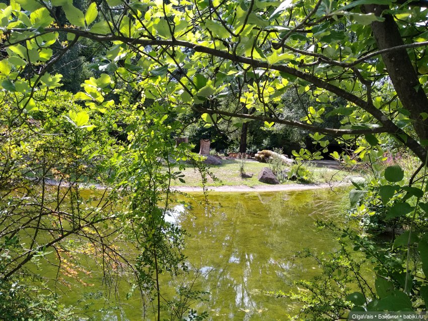Зоопарк Мюнхена, ч.2 — Туризм и путешествия: фотоотчеты из поездок