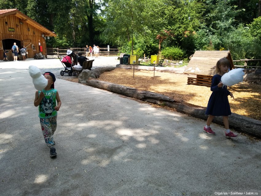 Зоопарк Мюнхена, ч.2 — Туризм и путешествия: фотоотчеты из поездок