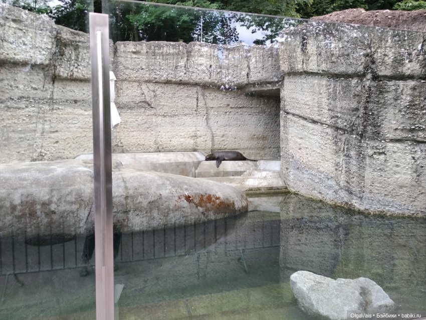 Зоопарк Мюнхена, ч.2 — Туризм и путешествия: фотоотчеты из поездок