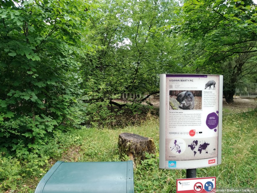 Зоопарк Мюнхена, ч.2 — Туризм и путешествия: фотоотчеты из поездок (фото 6)