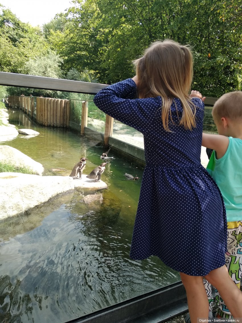 Зоопарк Мюнхена, ч.2 — Туризм и путешествия: фотоотчеты из поездок (фото 2)