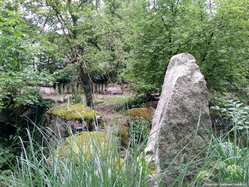 Зоопарк Мюнхена, ч.2 — Туризм и путешествия: фотоотчеты из поездок (фото 7)