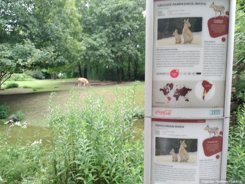 Зоопарк Мюнхена, ч.2 — Туризм и путешествия: фотоотчеты из поездок