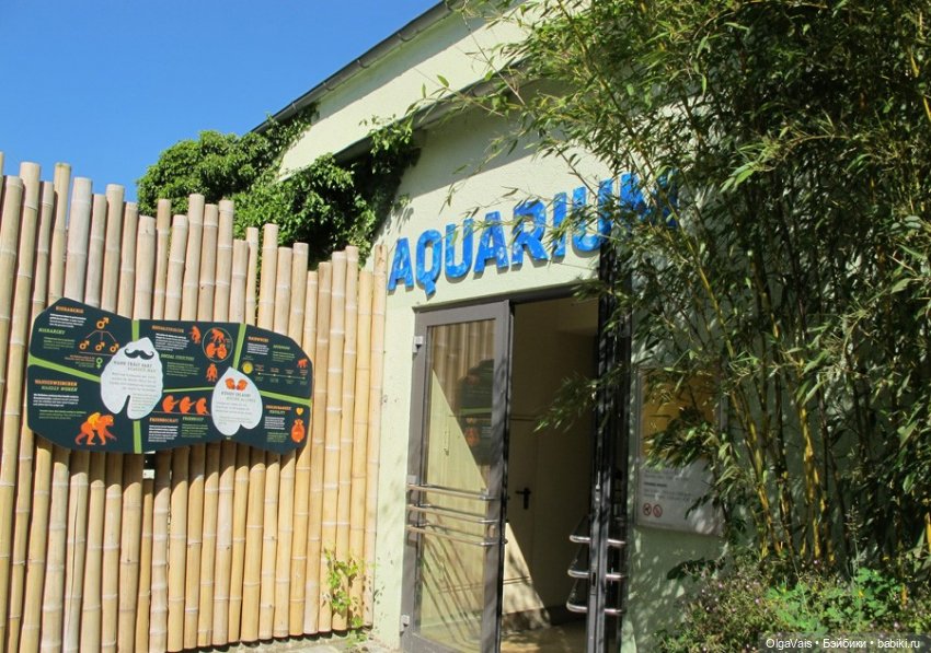 Зоопарк Мюнхена, ч.3 — Туризм и путешествия: фотоотчеты из поездок