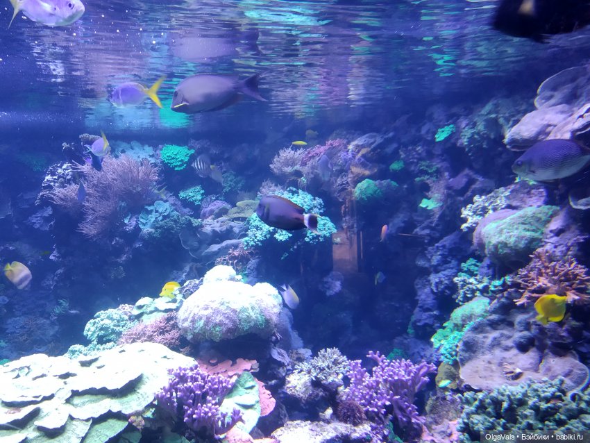 Зоопарк Мюнхена, ч.3 — Туризм и путешествия: фотоотчеты из поездок (фото 3)