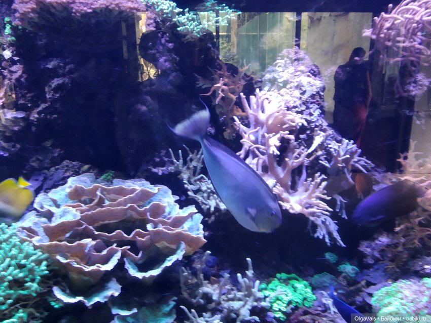 Зоопарк Мюнхена, ч.3 — Туризм и путешествия: фотоотчеты из поездок (фото 4)