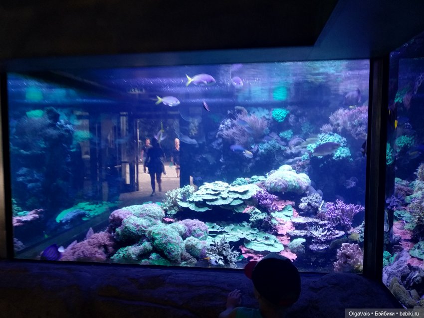 Зоопарк Мюнхена, ч.3 — Туризм и путешествия: фотоотчеты из поездок (фото 2)