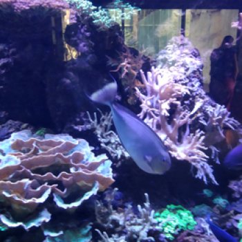 Зоопарк Мюнхена, ч.3