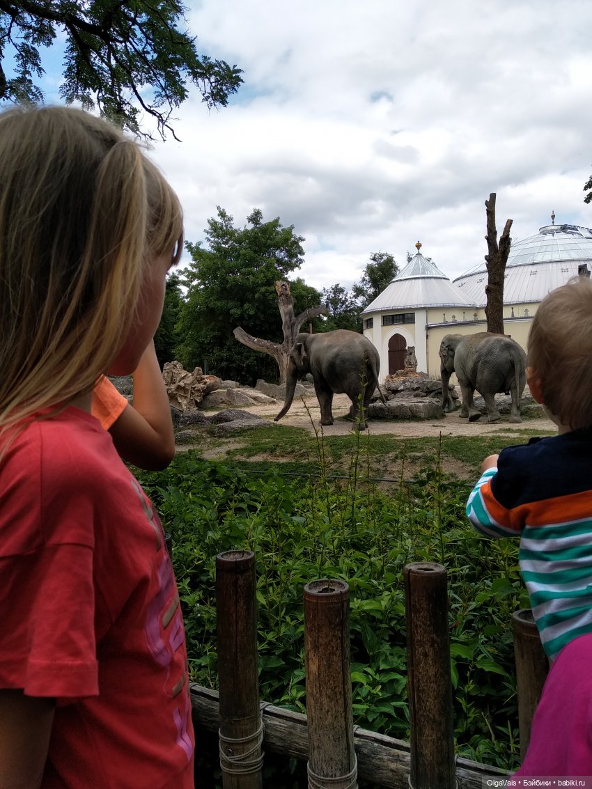 Зоопарк Мюнхена, ч.4 — Туризм и путешествия: фотоотчеты из поездок