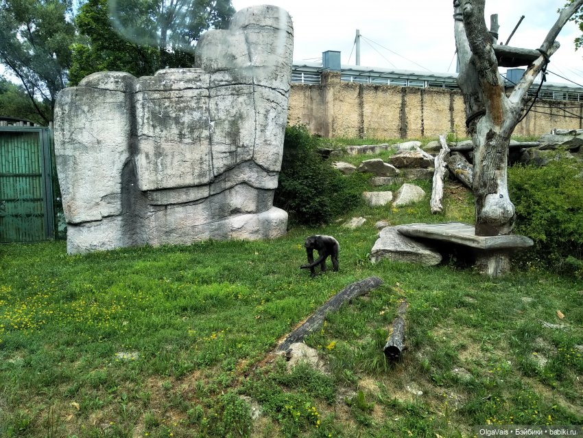 Зоопарк Мюнхена, ч.4 — Туризм и путешествия: фотоотчеты из поездок