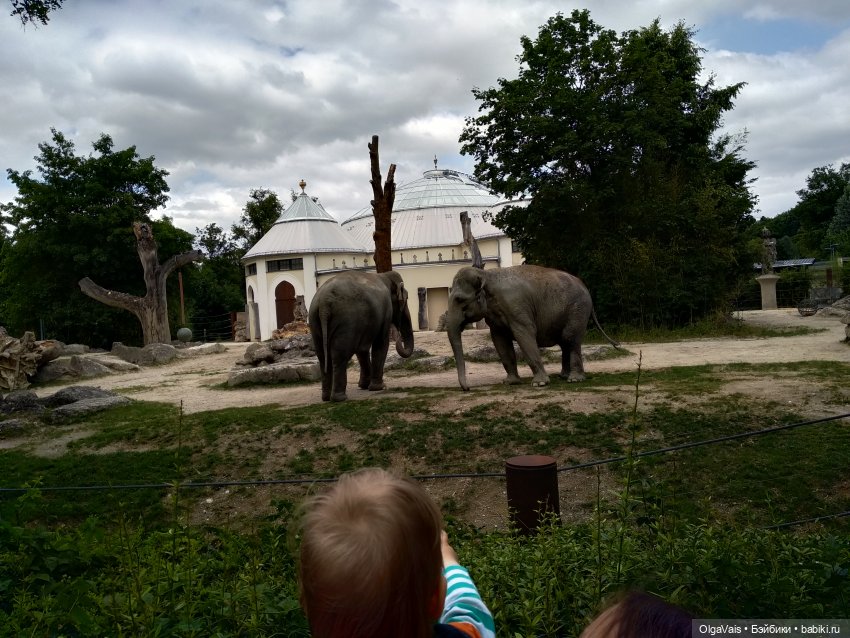 Зоопарк Мюнхена, ч.4 — Туризм и путешествия: фотоотчеты из поездок