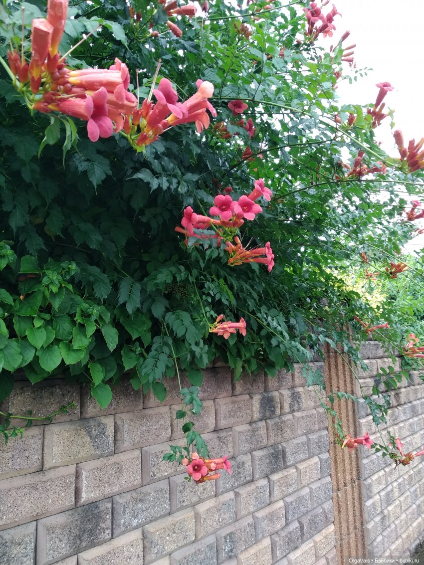 Ни о чем — Туризм и путешествия: фотоотчеты из поездок