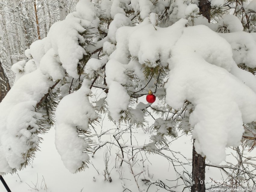 Зимние каникулы — Куклы Gotz (Готц): Ханна