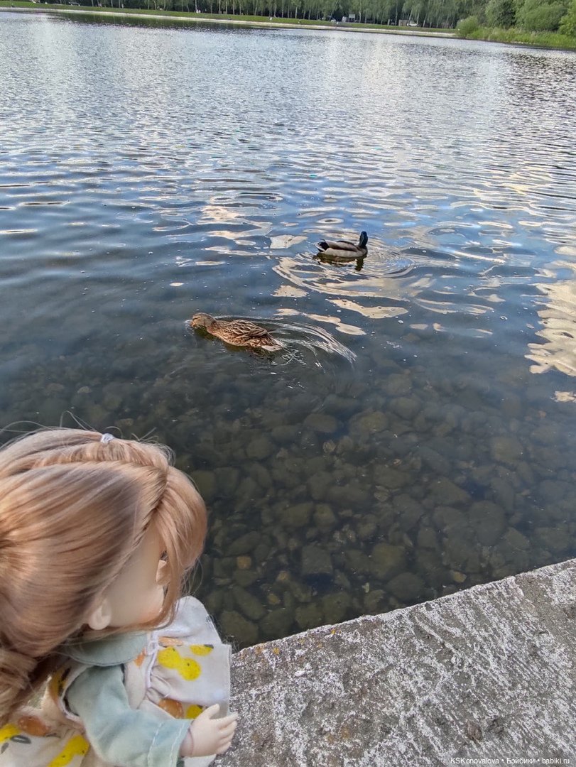 Про Симочкину прогулку и про добрую куклу Little You / Милая крошка (фото 4)