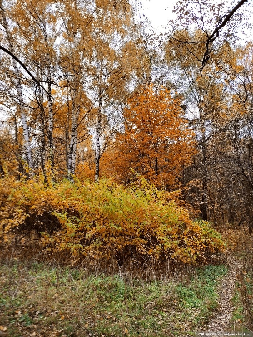Про Симочкину прогулку и про добрую куклу Little You / Милая крошка