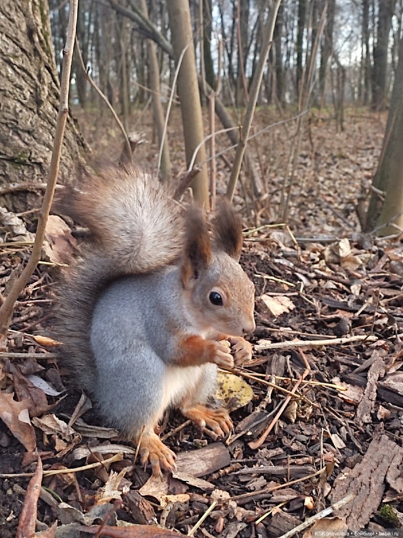 Про Симочкину прогулку и про добрую куклу Little You / Милая крошка