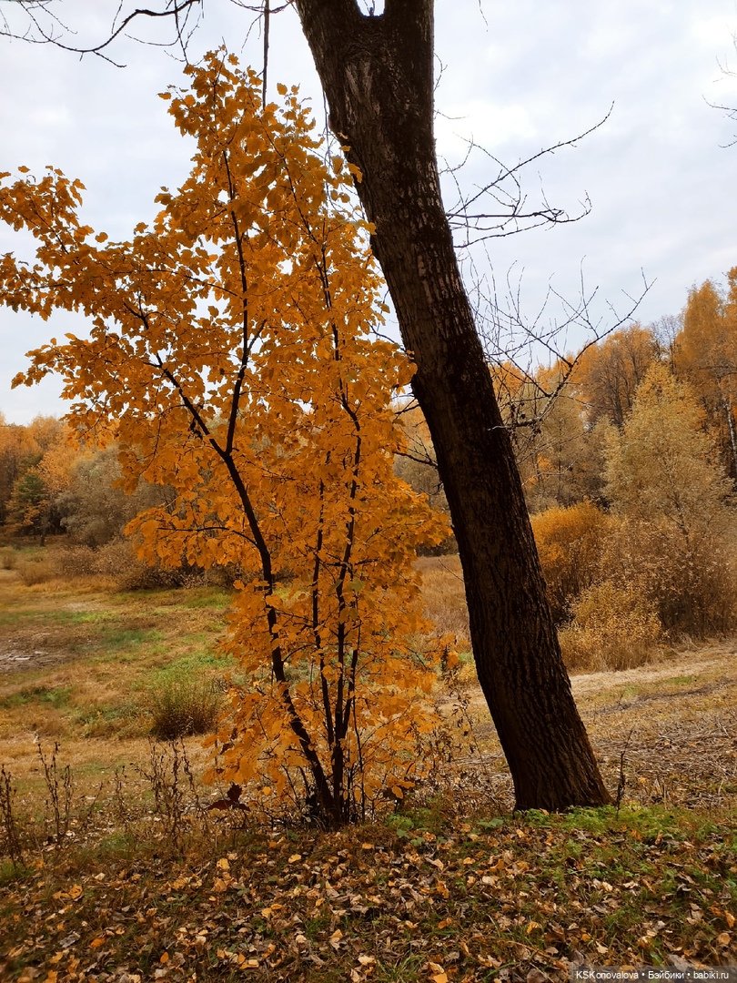Про Симочкину прогулку и про добрую куклу Little You / Милая крошка