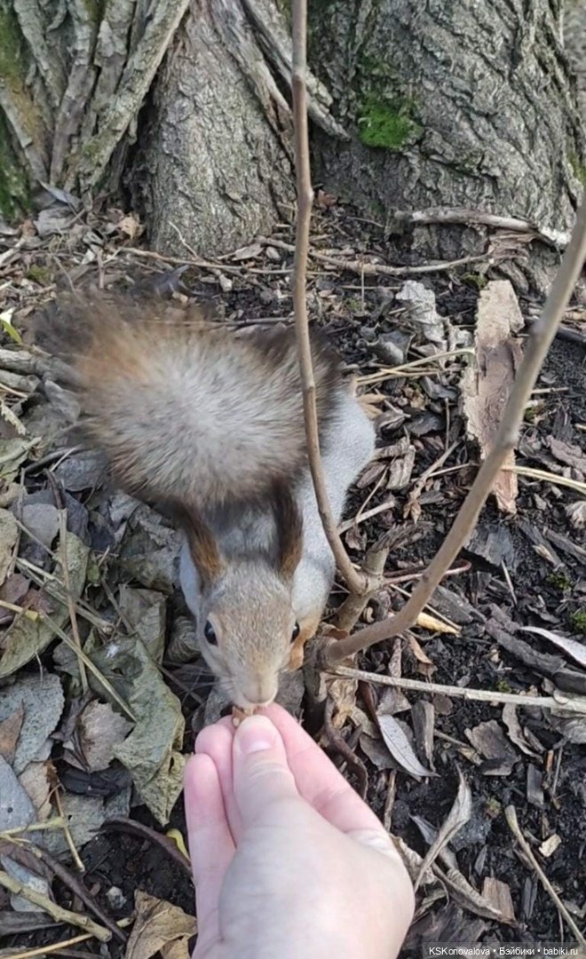 Про Симочкину прогулку и про добрую куклу Little You / Милая крошка