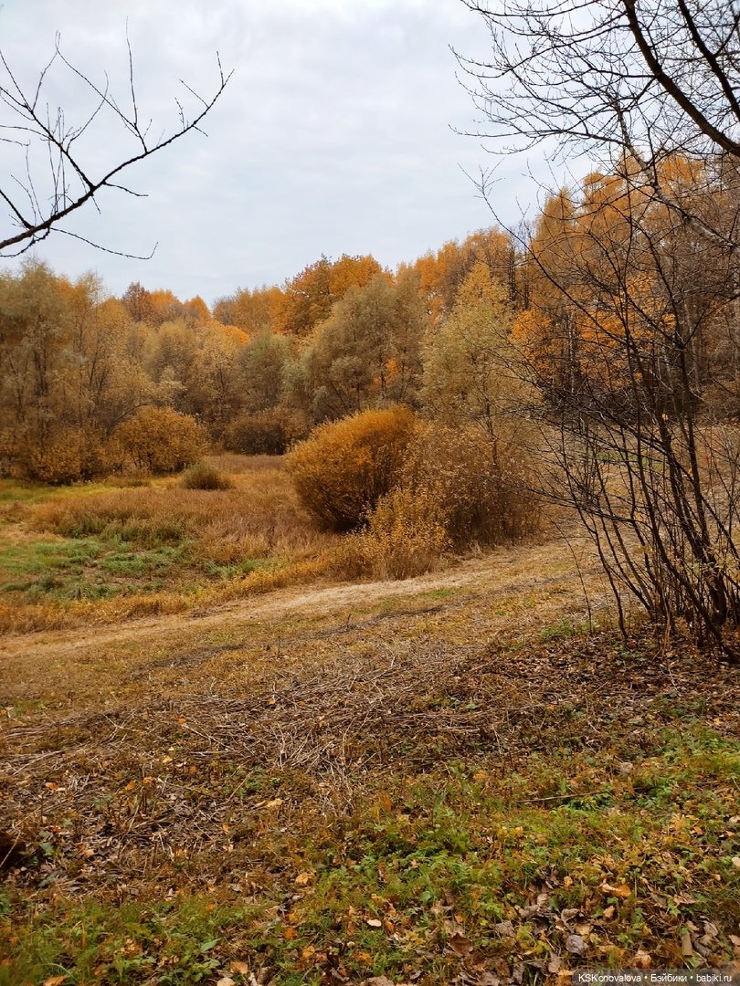 Про Симочкину прогулку и про добрую куклу Little You / Милая крошка