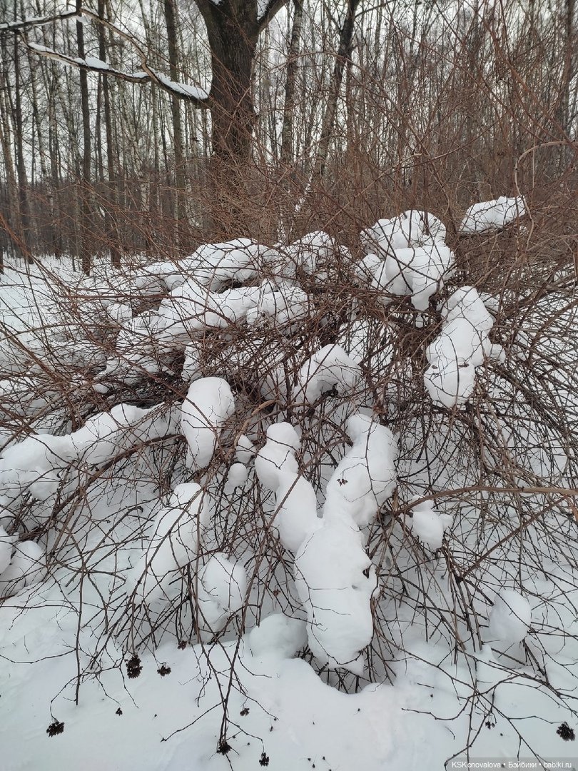 Масленица на дворе! Солнышко в душе! (после конкурса)