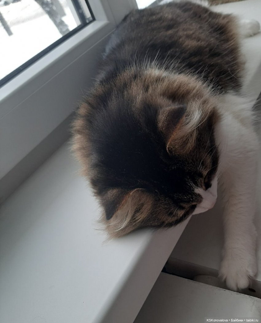 Луч солнца золотого для Мистера Икса! Работа к конкурсу (фото 10)