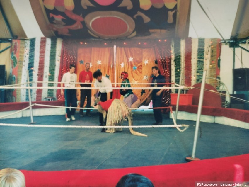 Луч солнца золотого для Мистера Икса! Работа к конкурсу (фото 2)