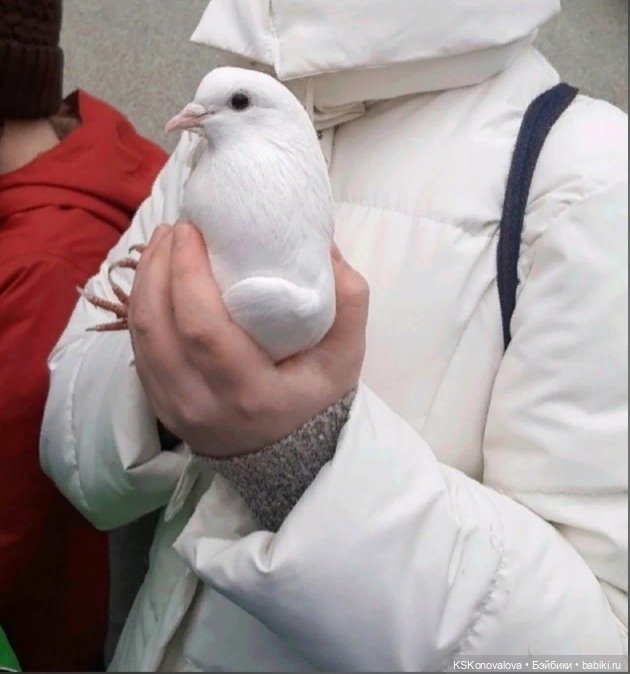 Весна побеждает — Российские куклы Весна