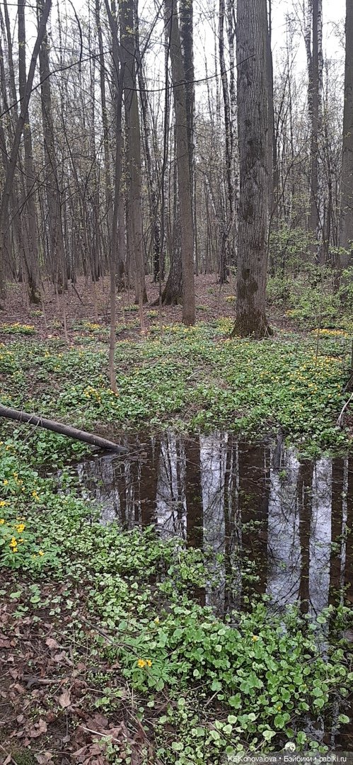 Про малышку Соню антистрессик и лесопарк Кусково