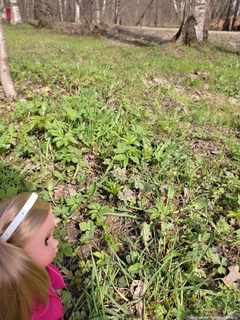 Про малышку Соню антистрессик и лесопарк Кусково