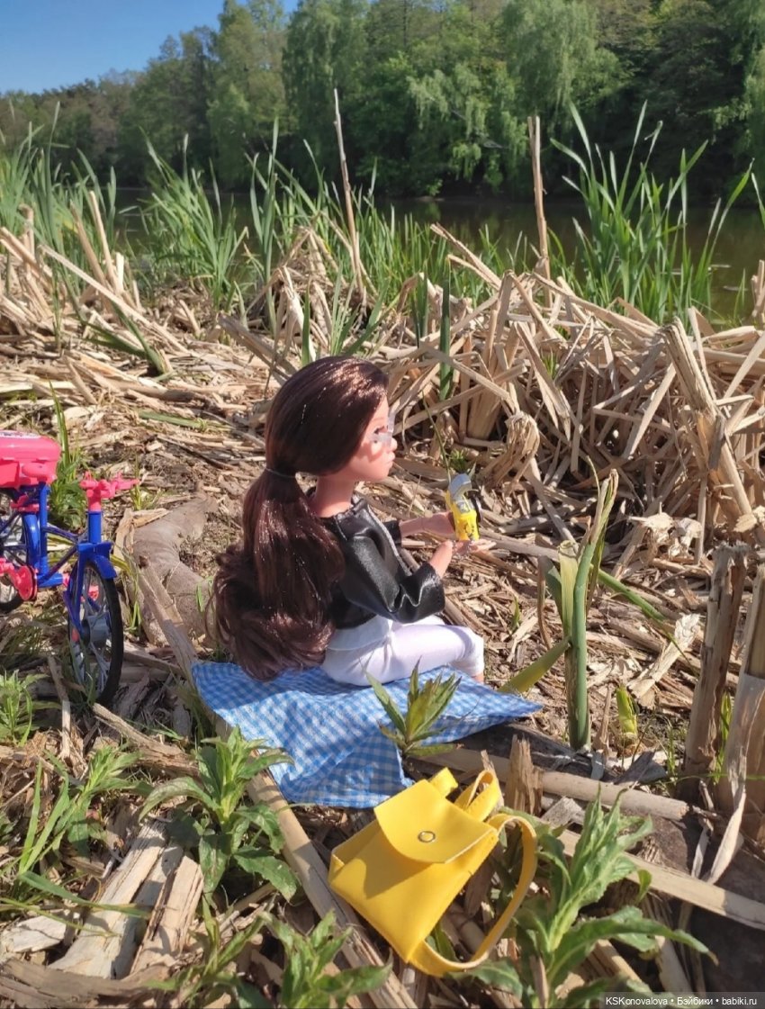 Быль и сказка про мечту Мирэи (фото 4)