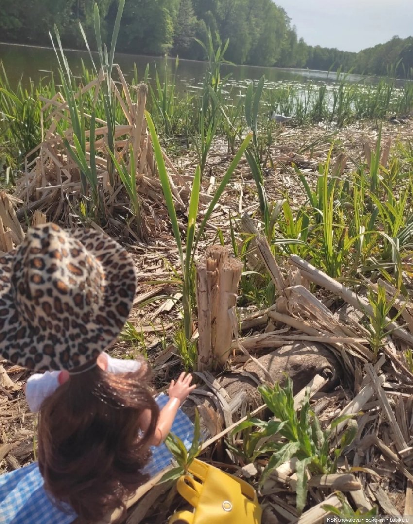 Быль и сказка про мечту Мирэи (фото 2)