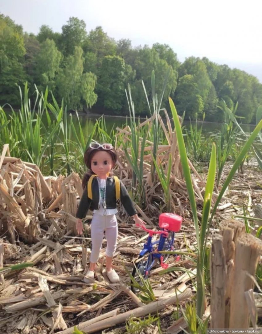 Быль и сказка про мечту Мирэи