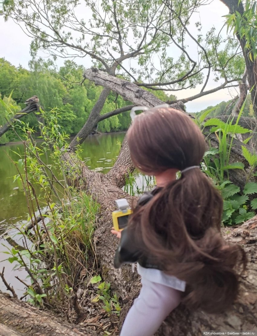 Быль и сказка про мечту Мирэи (фото 5)