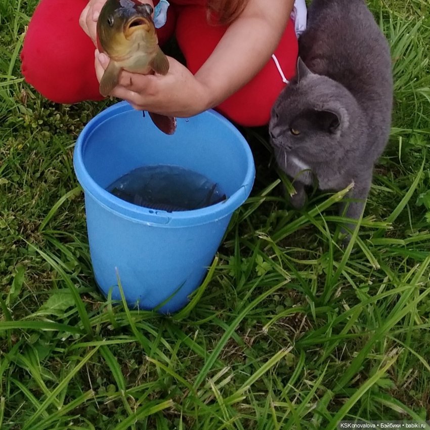 Куклы на каникулах! Или Антошка, Антошка, пойдём ловить рыбешку! (После конкурса) (фото 4)