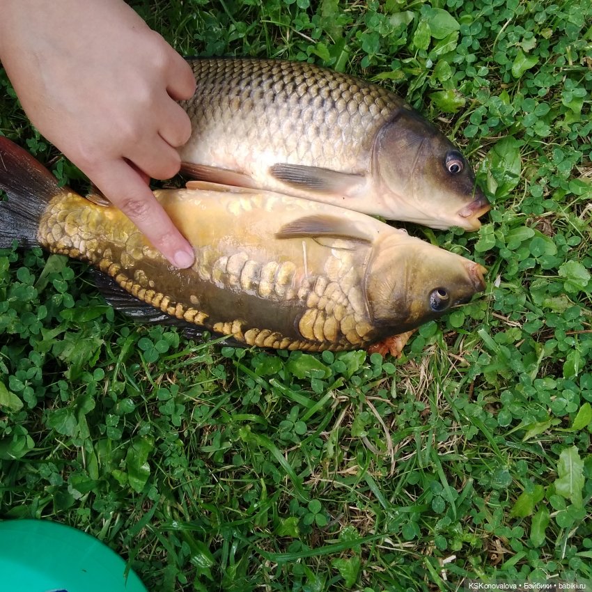 Куклы на каникулах! Или Антошка, Антошка, пойдём ловить рыбешку! (После конкурса) (фото 3)