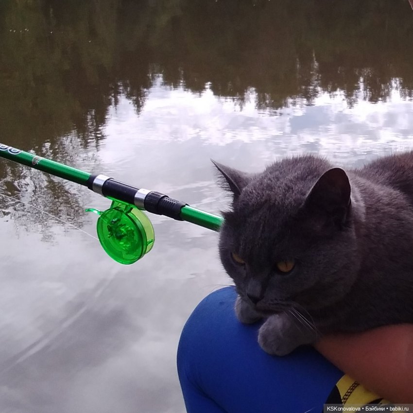 Куклы на каникулах! Или Антошка, Антошка, пойдём ловить рыбешку! (После конкурса)