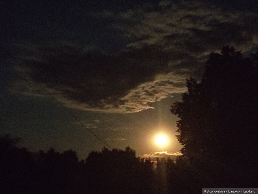 Сочинение на тему: Как я провел лето